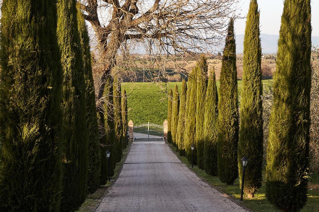 Podere Fontegallo Castiglione del Lago Eksteriør billede