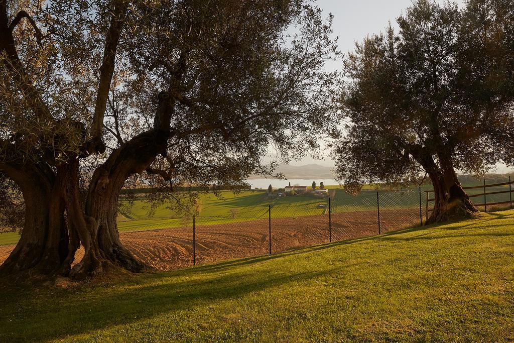 Podere Fontegallo Castiglione del Lago Eksteriør billede