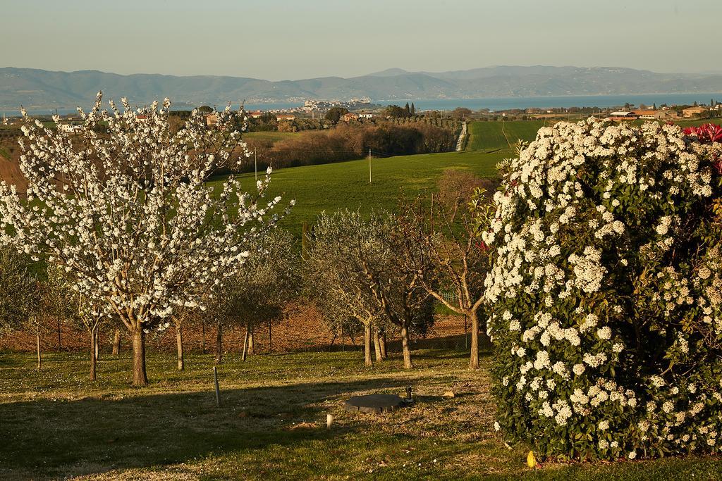 Podere Fontegallo Castiglione del Lago Eksteriør billede