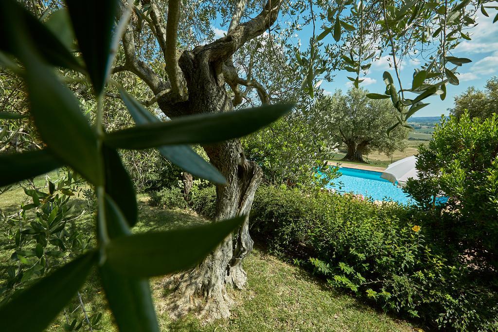 Podere Fontegallo Castiglione del Lago Eksteriør billede