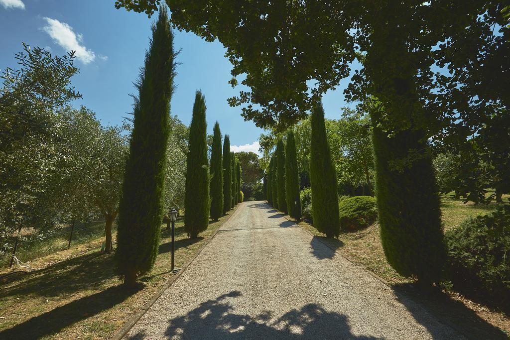 Podere Fontegallo Castiglione del Lago Eksteriør billede