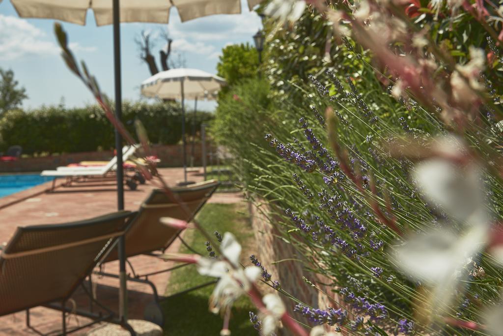 Podere Fontegallo Castiglione del Lago Eksteriør billede